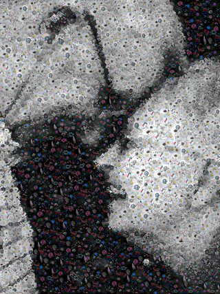 Sample photo mosaic portrait in the seamless organic style